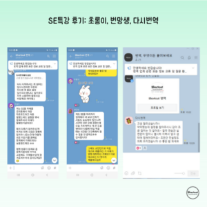 SE특강 후기_ 초롱이, 번망생, 다시번역